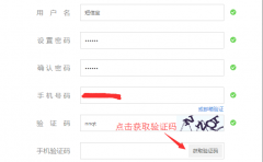 大商創(chuàng)3.1版短信接口替換