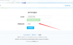 HadSky輕論壇_v6.5.6新增短信寶短信接口